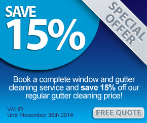 gutter cleaning special offer