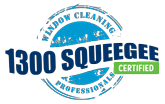 Certified north shore window cleaning