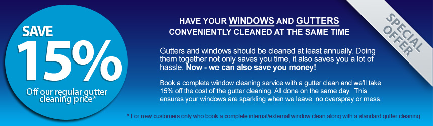window and gutter cleaning offer